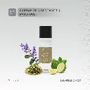 Levelo 3 in 1 20ML fragrance set