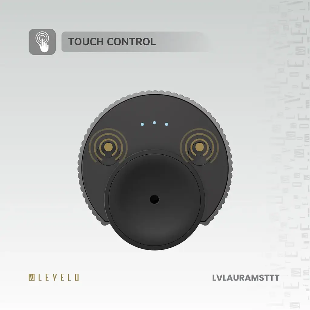 LVLAURAMSTTT-AuraMist (3).webp